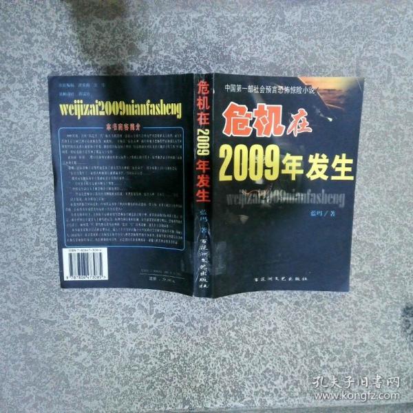 危机在2009年发生