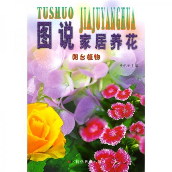 圖說(shuō)家居養(yǎng)花：陽(yáng)臺(tái)植物