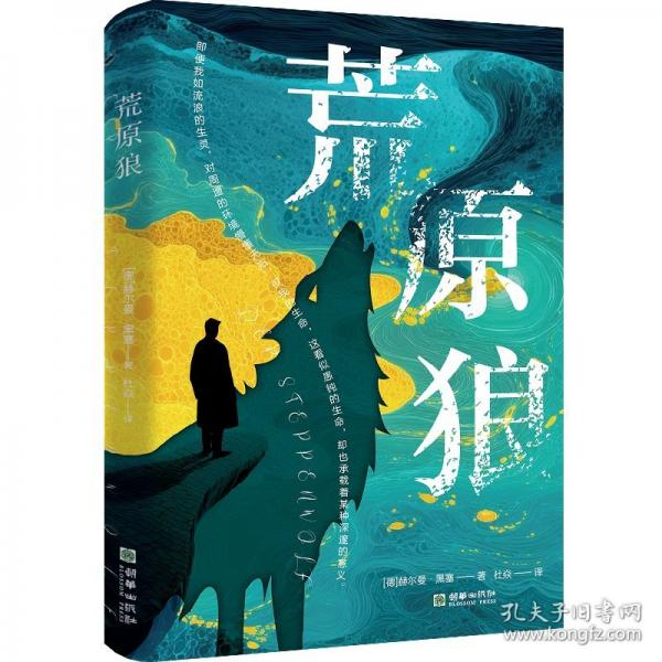 荒原狼 跨越理性与疯狂人性与狼性的精神自白