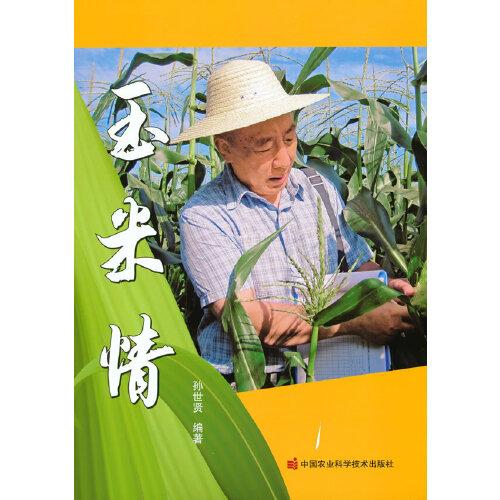 玉米情