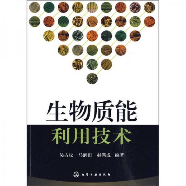 生物質(zhì)能利用技術(shù)
