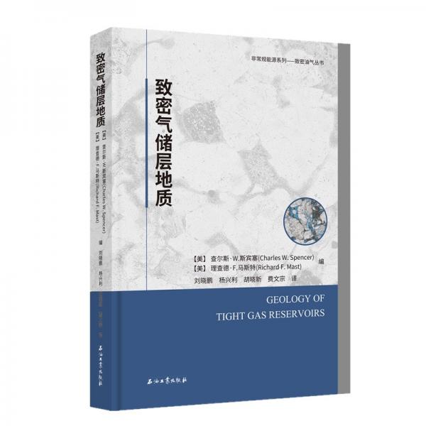 致密氣儲層地質(zhì)