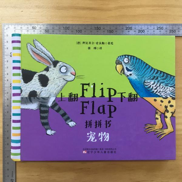 童立方·上翻下翻拼拼书系列：宠物