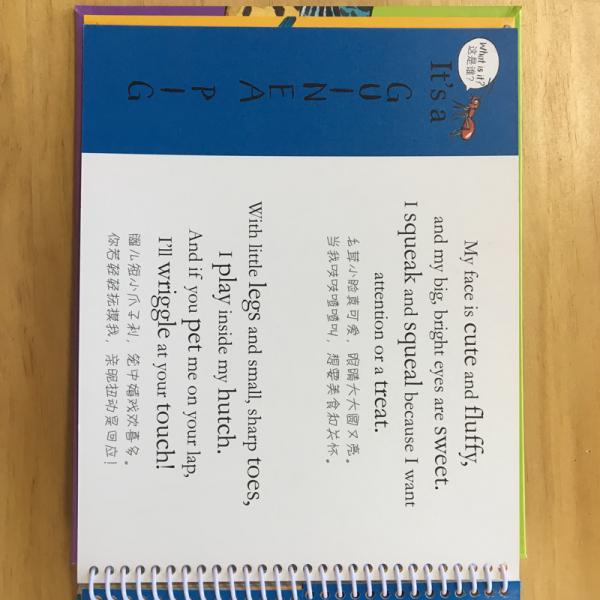 童立方·上翻下翻拼拼书系列：宠物