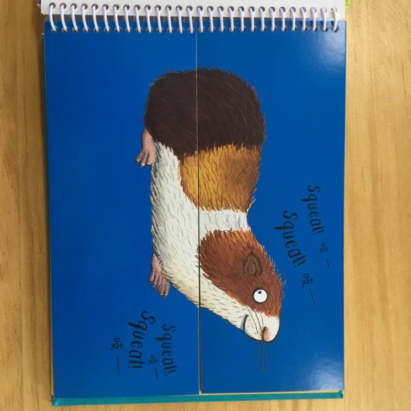 童立方·上翻下翻拼拼书系列：宠物