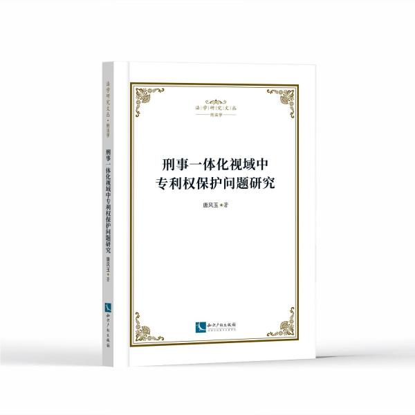 刑事一體化視域中專利權(quán)保護問題研究/法學(xué)研究文叢
