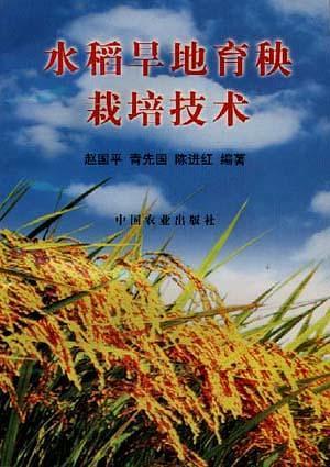 水稻旱地育秧栽培技术
