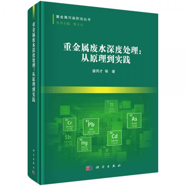 重金属废水深度处理:从原理到实践 潘丙才 等 著