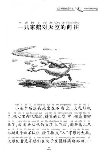 尼尔斯骑鹅旅行记