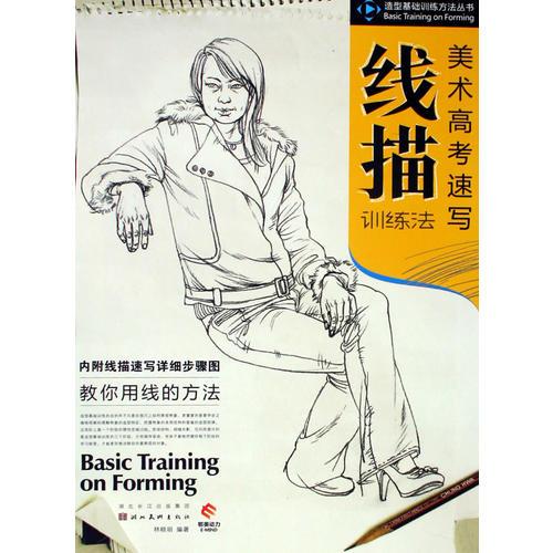 造型基础训练方法丛书-美术高考速写线描训练法
