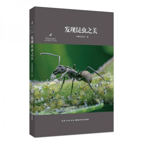 發(fā)現(xiàn)昆蟲之美