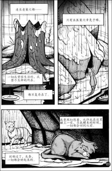 猫武士漫画版之3:武士回归