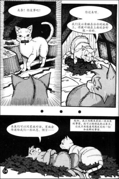 猫武士漫画版之3:武士回归