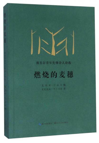 燃燒的麥穗 維吾爾青年先鋒詩人詩選