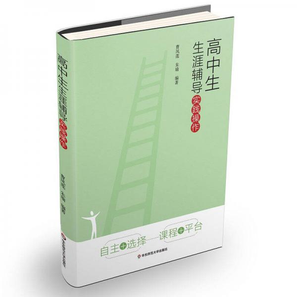 高中生生涯輔導(dǎo)實踐操作
