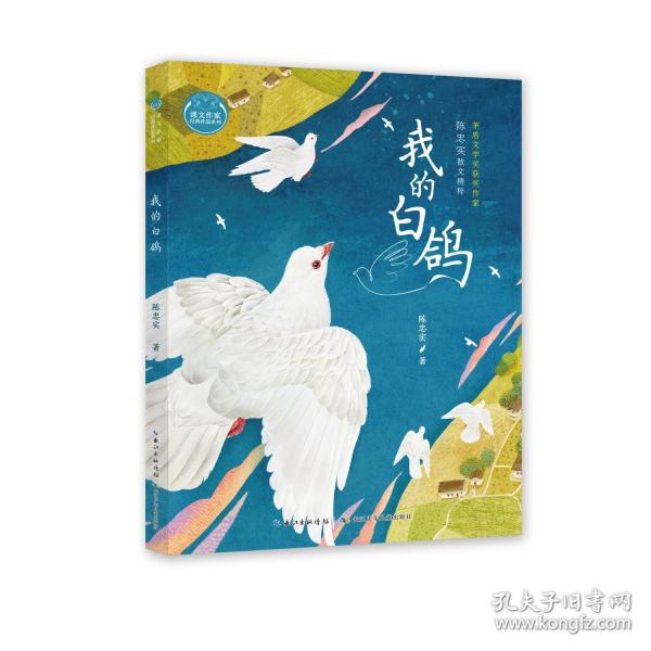 我的白鴿