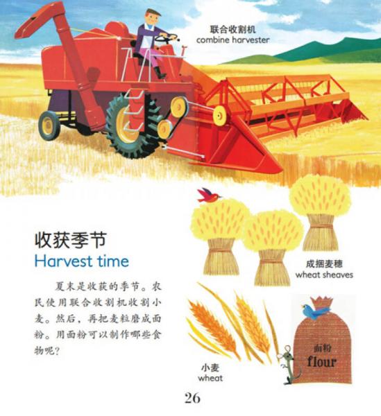 幼儿情景认知图画书：多彩的四季