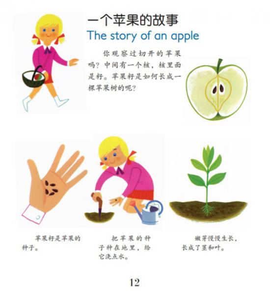 幼儿情景认知图画书：多彩的四季