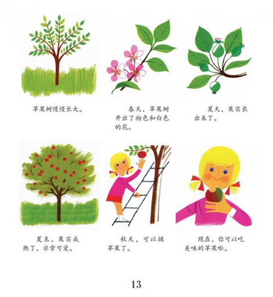 幼儿情景认知图画书：多彩的四季