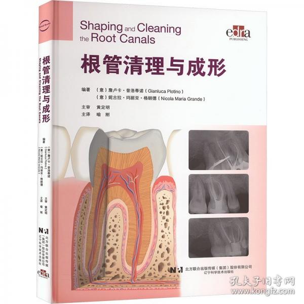 根管清理与成形