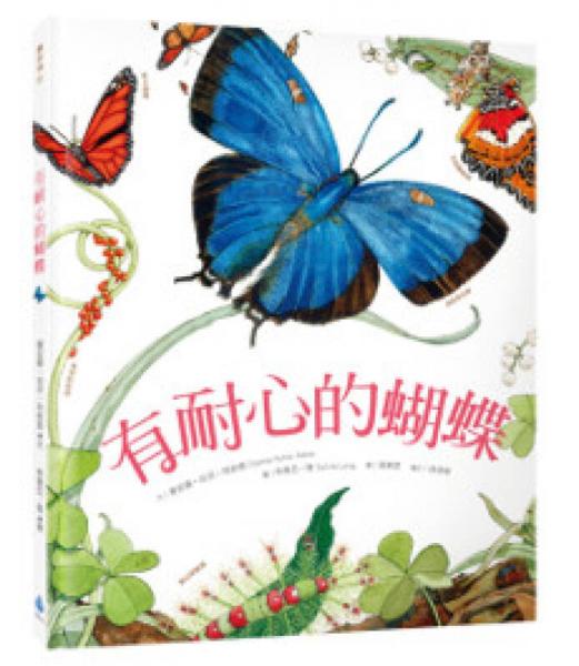 有耐心的蝴蝶