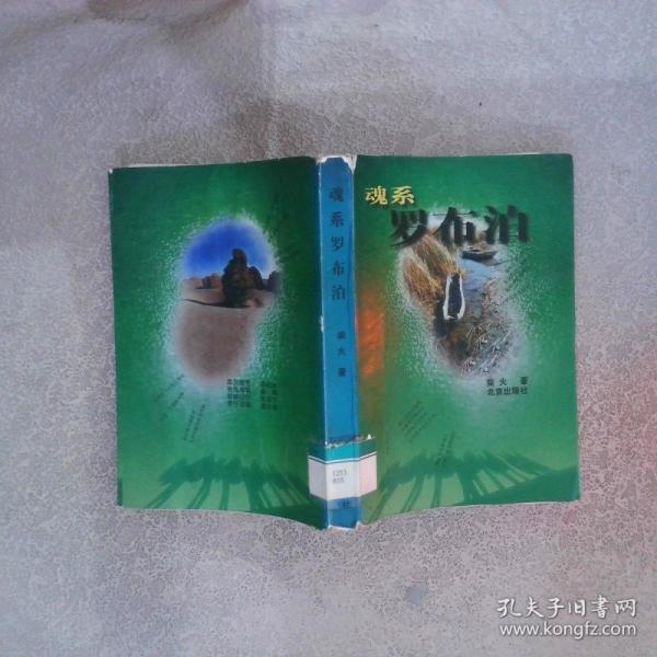 魂系羅布泊