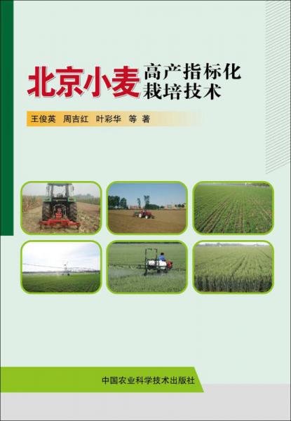 北京小麦高产指标化栽培技术