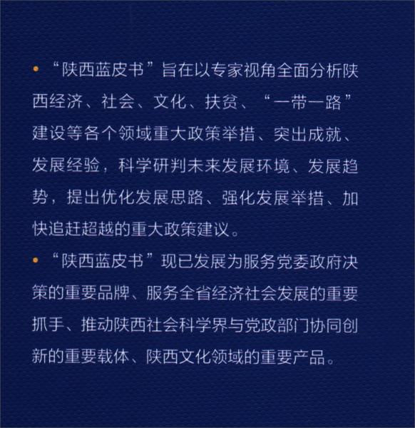 陕西蓝皮书：陕西精准脱贫研究报告（2020）
