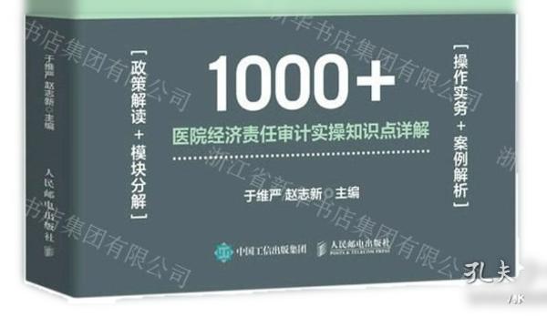 医院经济责任审计实务指南（出版社直发）