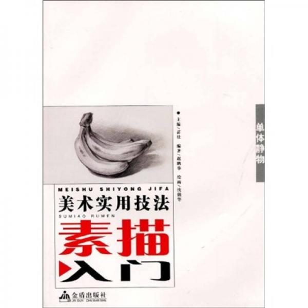 美術(shù)實(shí)用技法·素描入門：?jiǎn)误w靜物