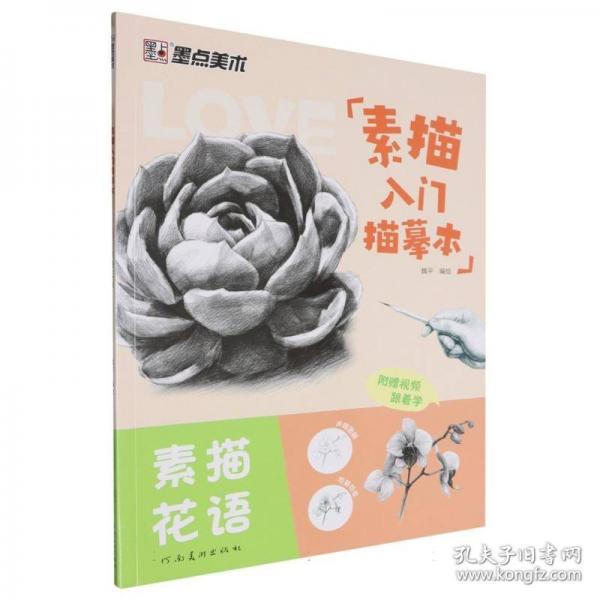 墨點美術(shù) 素描入門臨摹本素描花語