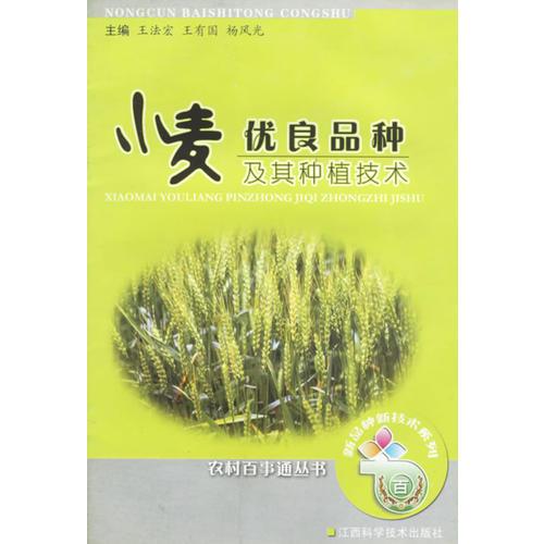 小麦优良品种及其种植技术