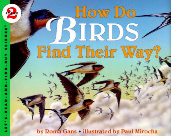 How Do Birds Find Their Way?候鳥怎樣找到家？