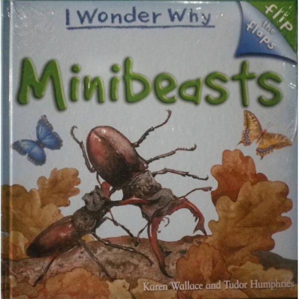 Flip the Flaps: Minibeasts