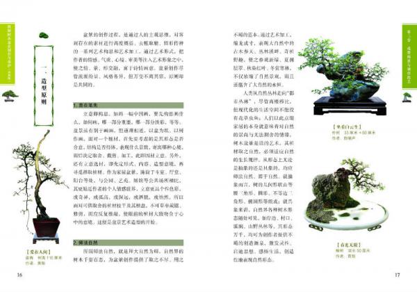 图解树木盆景制作与养护