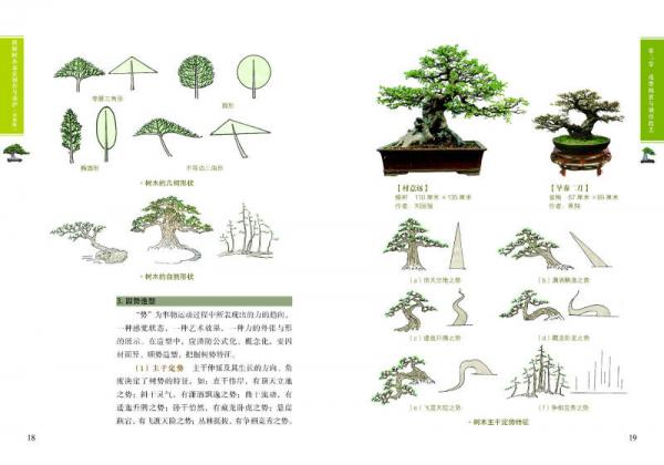 图解树木盆景制作与养护