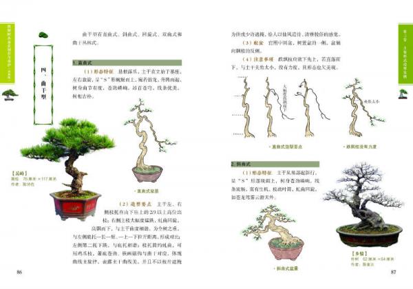 图解树木盆景制作与养护