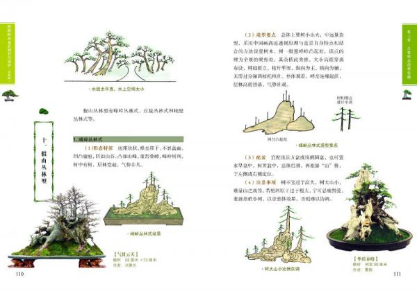 图解树木盆景制作与养护