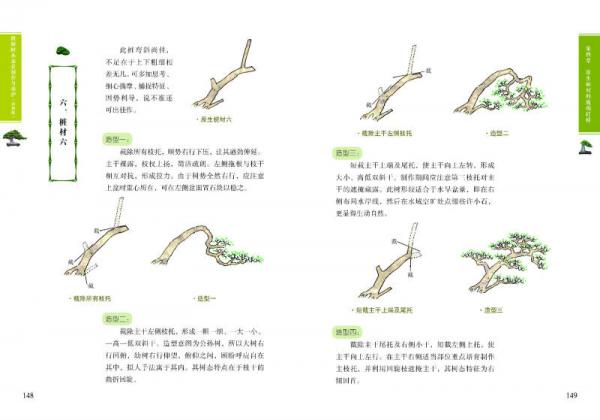 图解树木盆景制作与养护