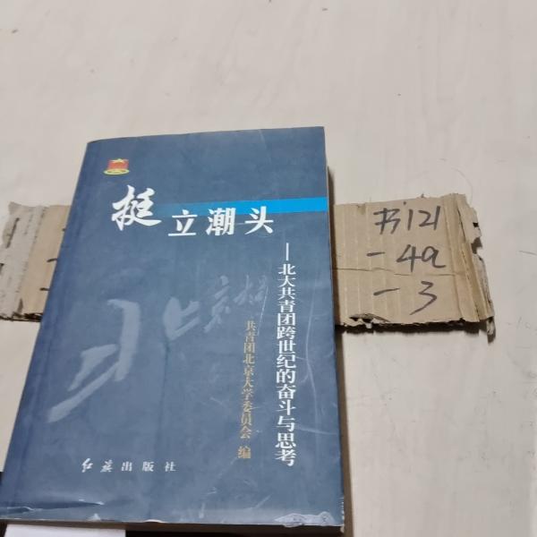 挺立潮頭:北大共青團(tuán)跨世紀(jì)的奮斗與思考