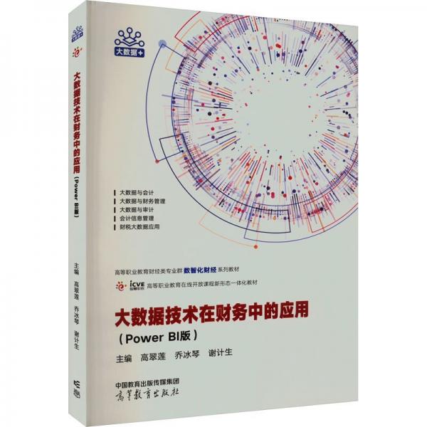 大數(shù)據(jù)技術(shù)在財(cái)務(wù)中的應(yīng)用（Power BI版）