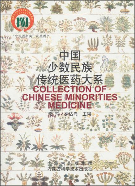 中国少数民族传统医药大系