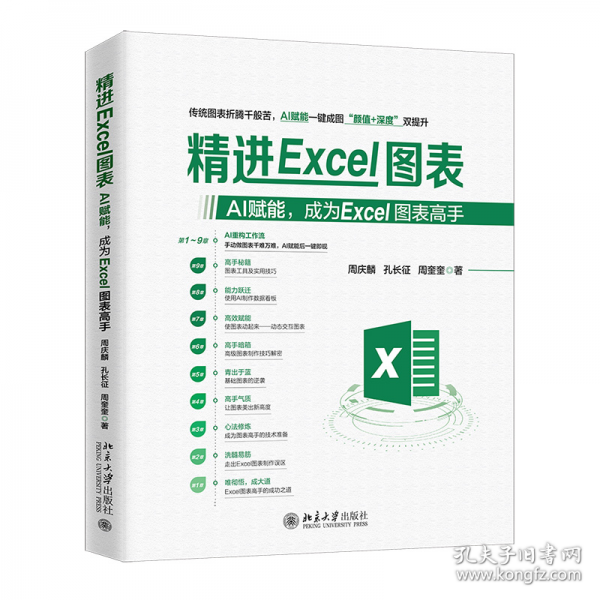 精进EXCEL图表：AI赋能，成为EXCEL图表高手