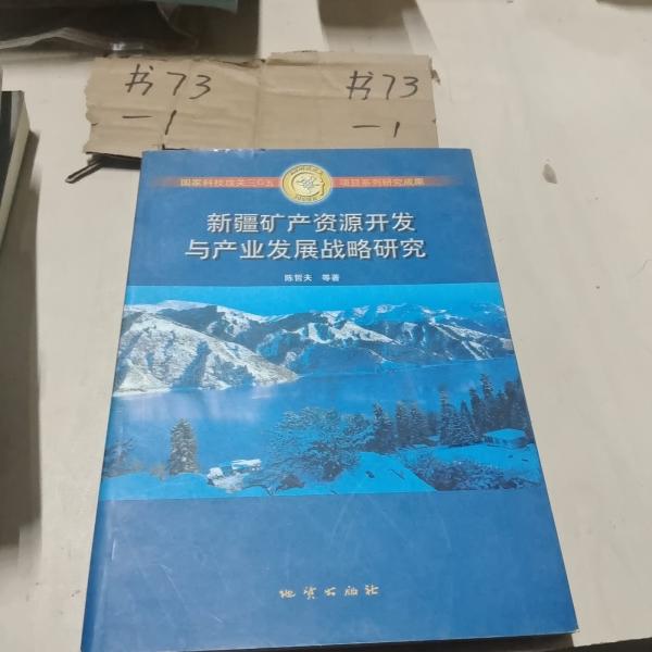 新疆礦產(chǎn)資源開發(fā)與產(chǎn)業(yè)發(fā)展戰(zhàn)略研究