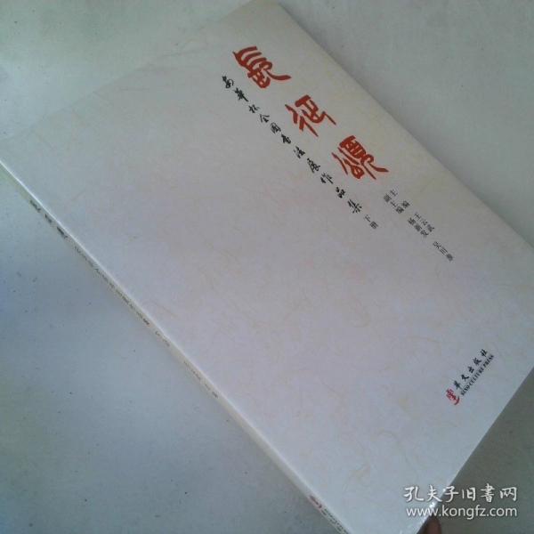 长征颂（下册）