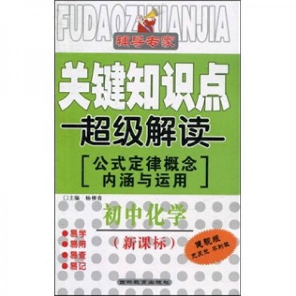 关键知识点超级解读·公式定律概念内涵与运用：初中化学（新课标）（健视版）