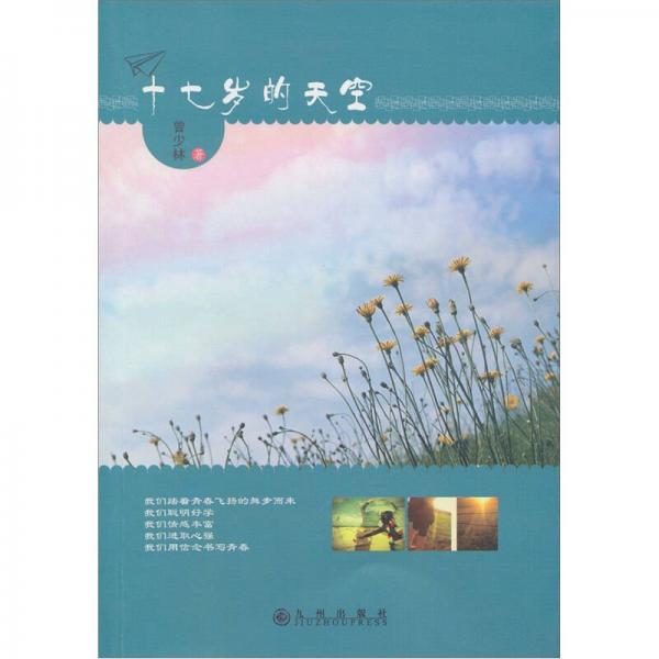 十七歲的天空