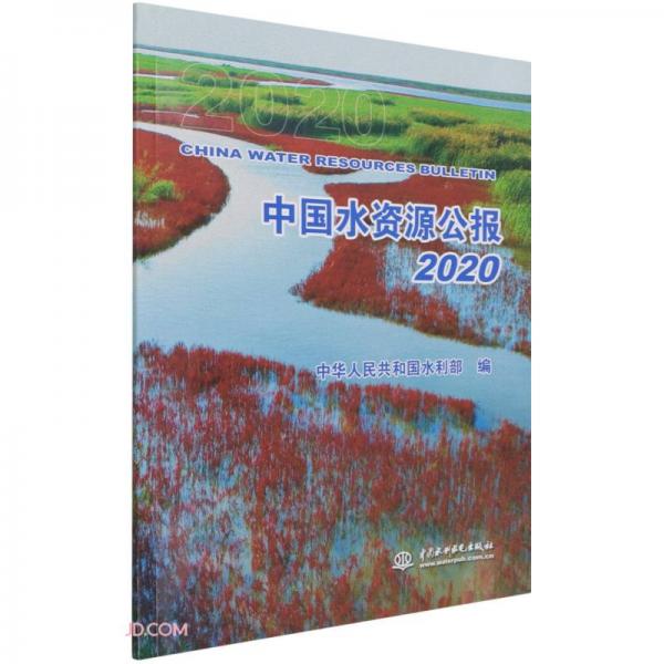 中国水资源公报(2020)