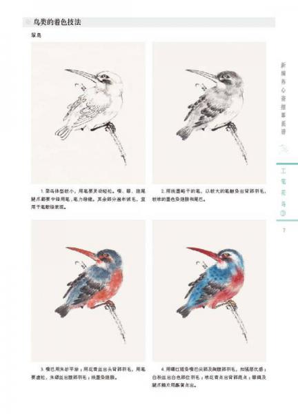 新编养心斋描摹画谱 工笔花鸟（3）
