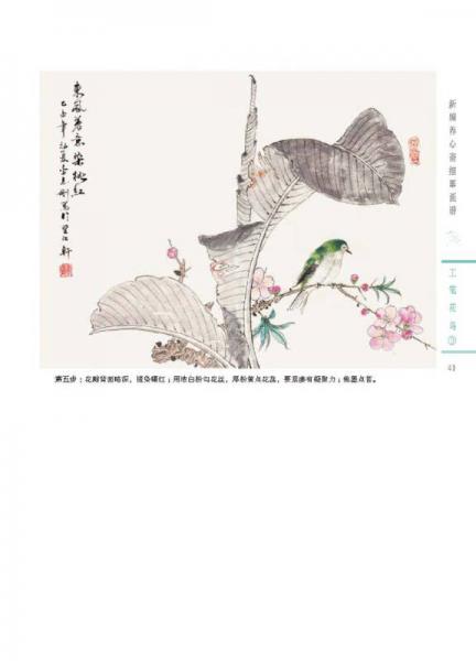 新编养心斋描摹画谱 工笔花鸟（3）
